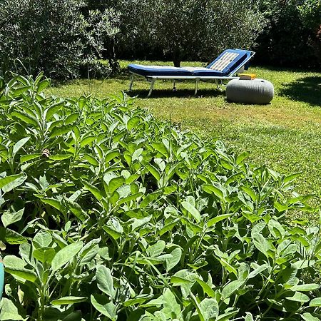 Golden Hill - Big Rooms With Kitchen And Garden Collina d'Oro Экстерьер фото